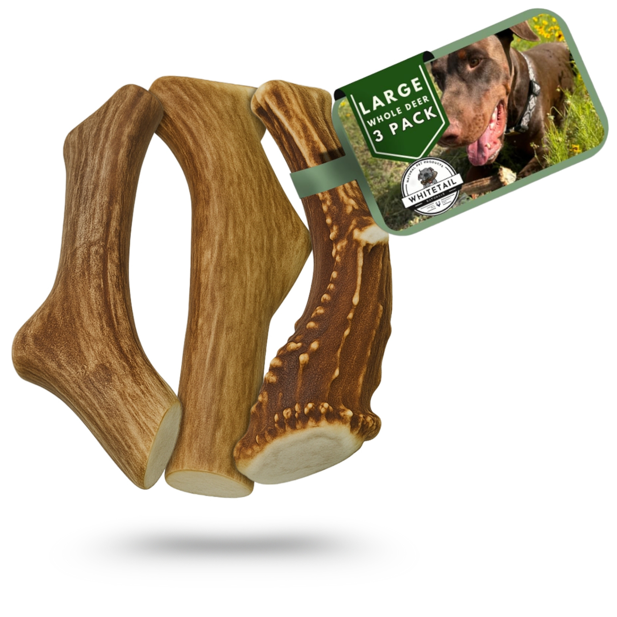 Large | Whole Deer Antler Dog Chew -Single or Multipac
