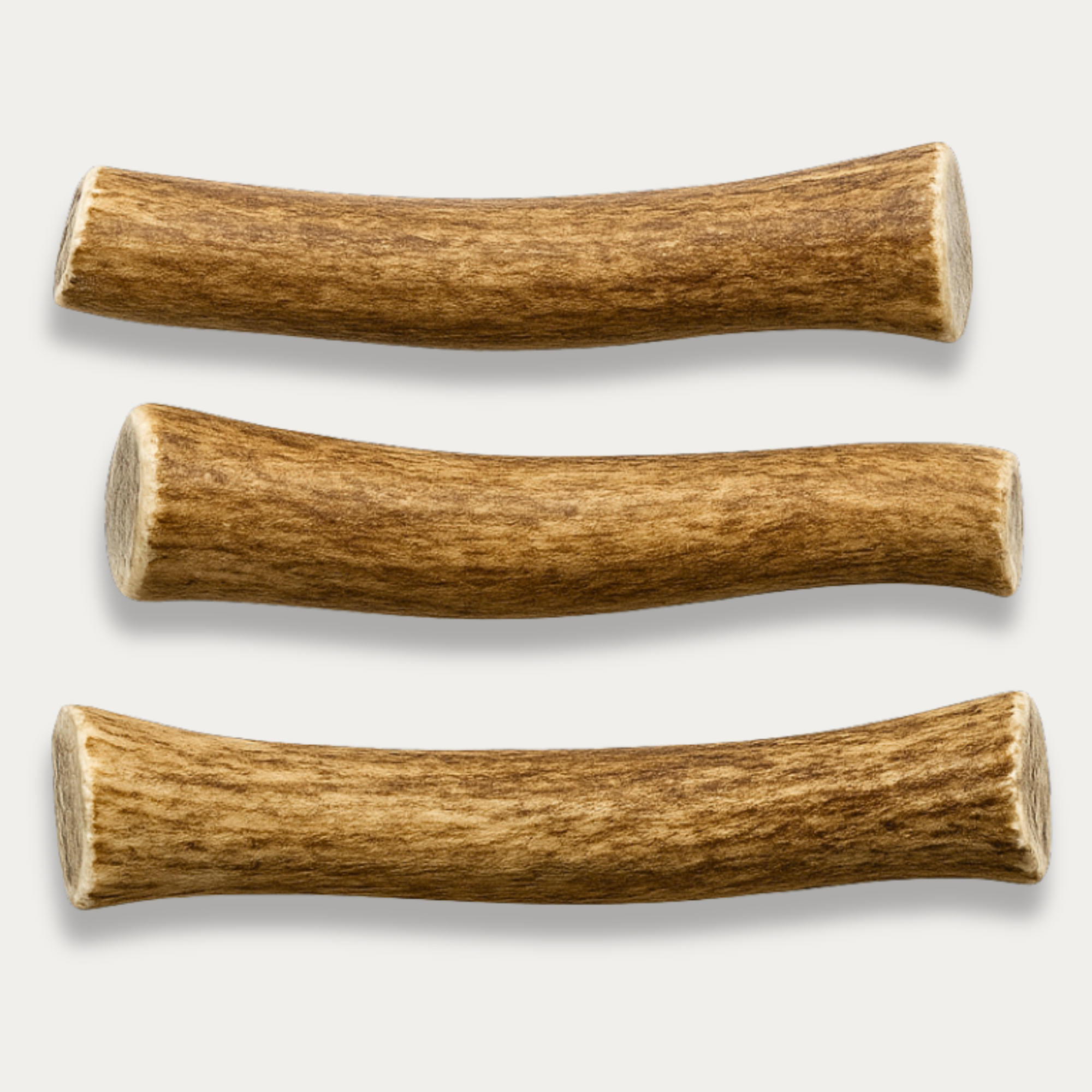 Medium | Whole Deer Antler Dog Chews - Single or Multipack