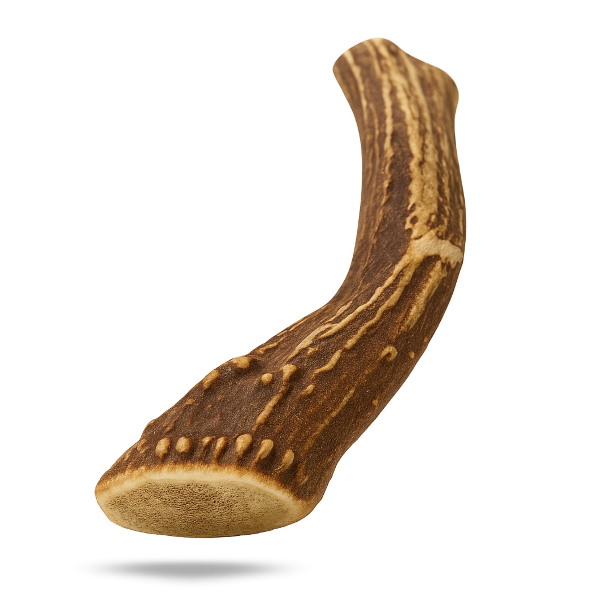 XL - Extra Large | Whole Deer Antler Dog Chew -Single or Multipac