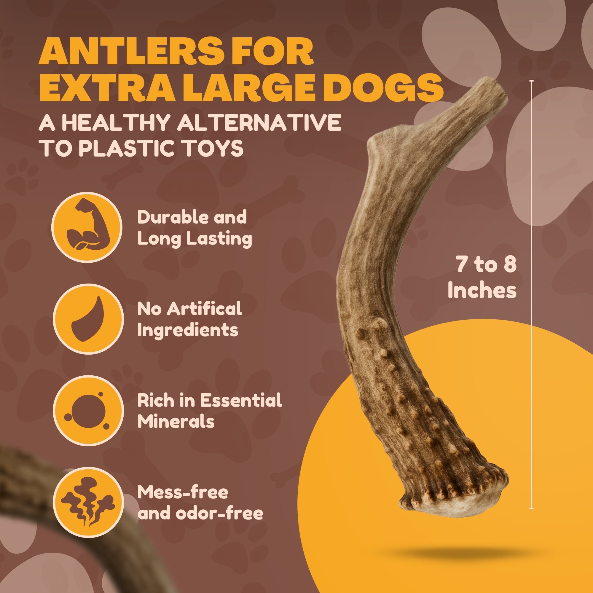XL - Extra Large | Whole Deer Antler Dog Chew -Single or Multipac