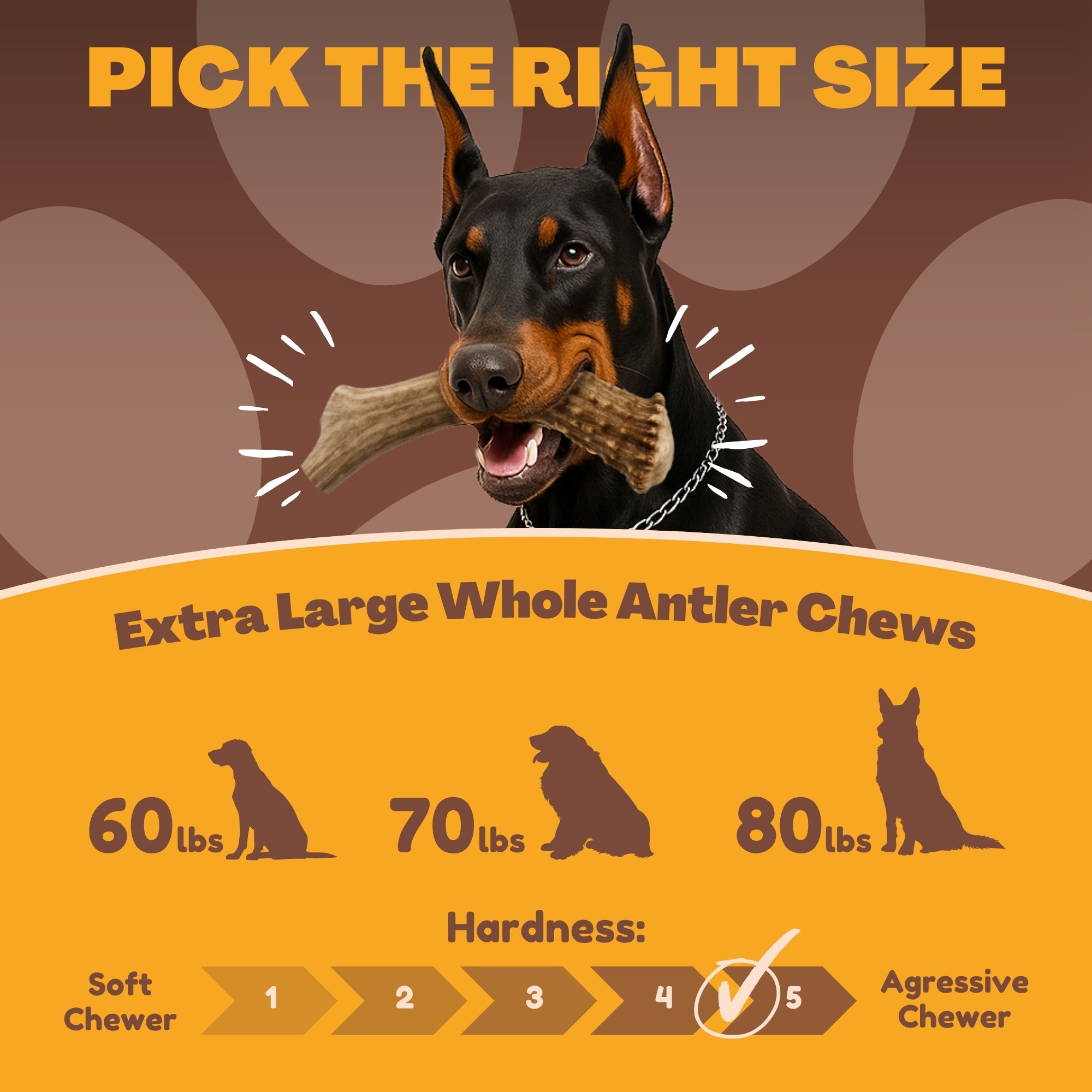 XL - Extra Large | Whole Deer Antler Dog Chew -Single or Multipac