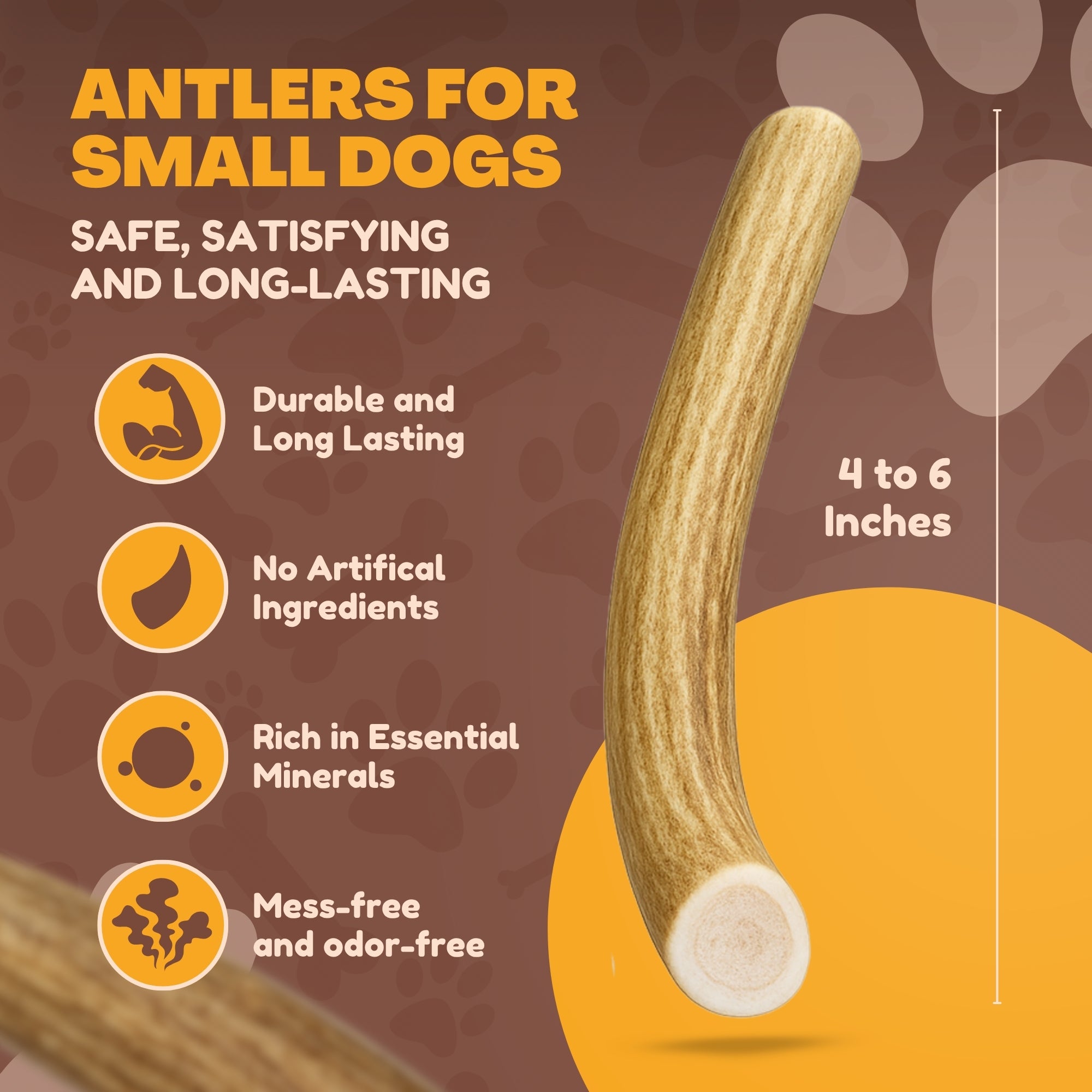 Small | Whole Deer Antler Dog Chews - Single or Multipack