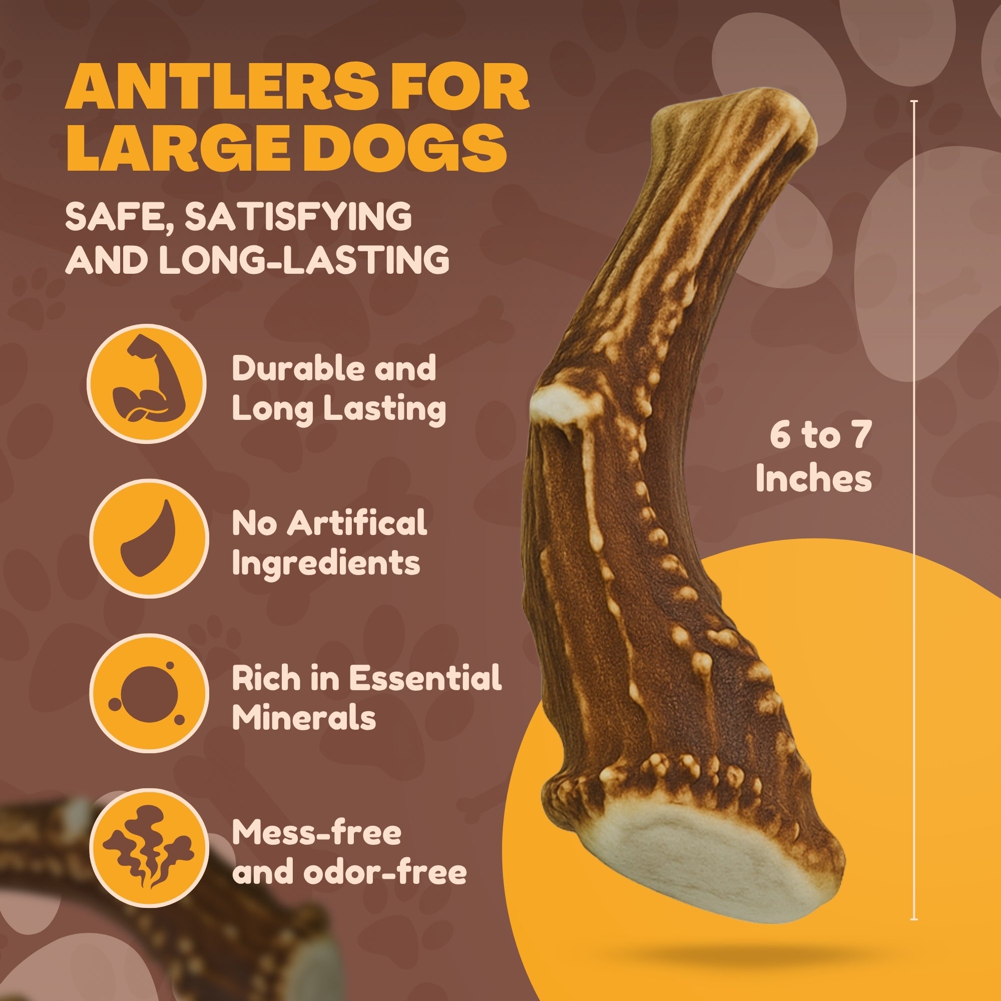 Large | Whole Deer Antler Dog Chew -Single or Multipac