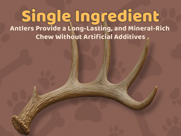 6 Pack - Medium | Deer Antler Dog Chews