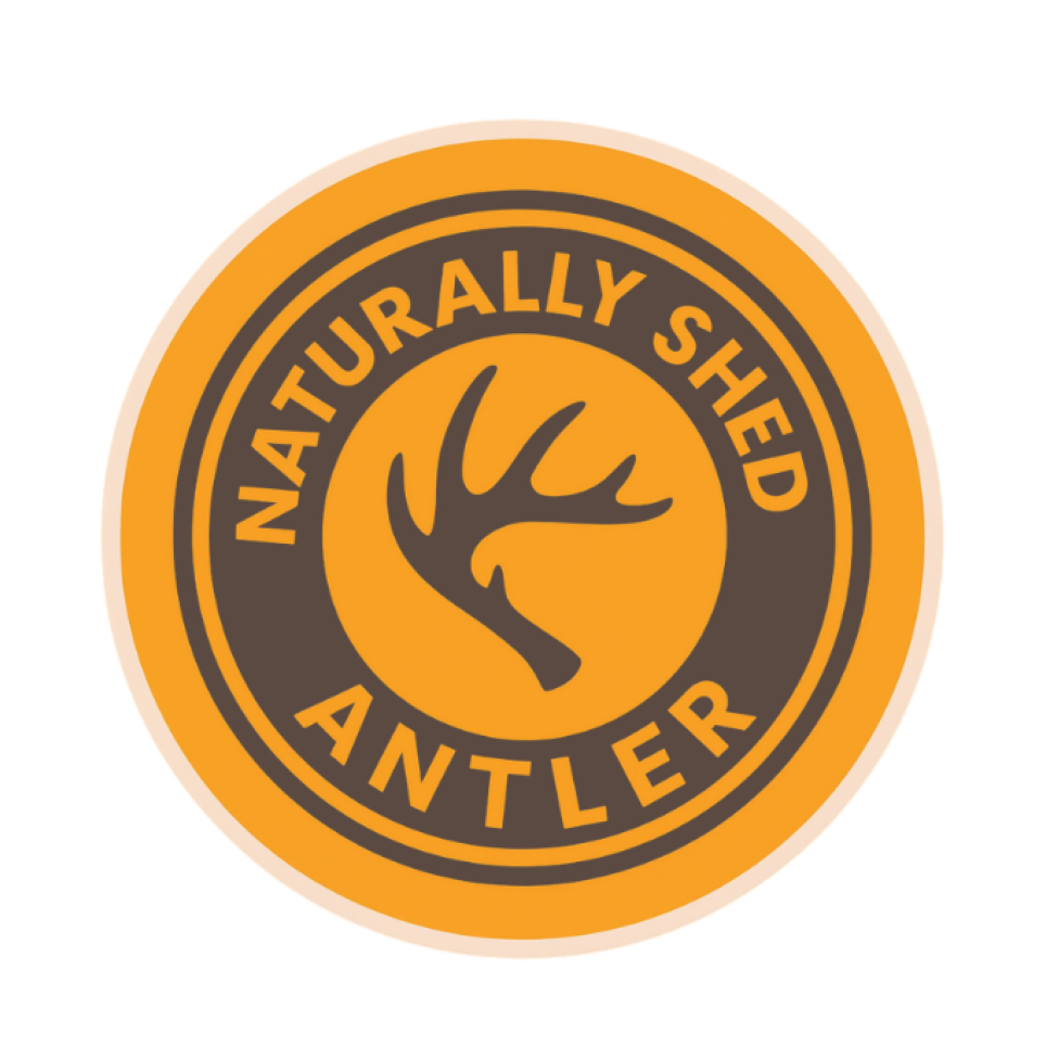 Bulk Split Elk Antler Dog Chews | Marrow Rich Value Packs | Texas Made