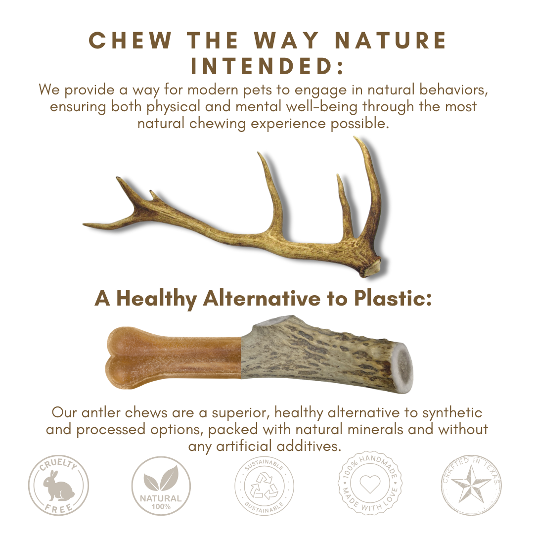 1 Pack - Large | Deer Antler Dog Chew