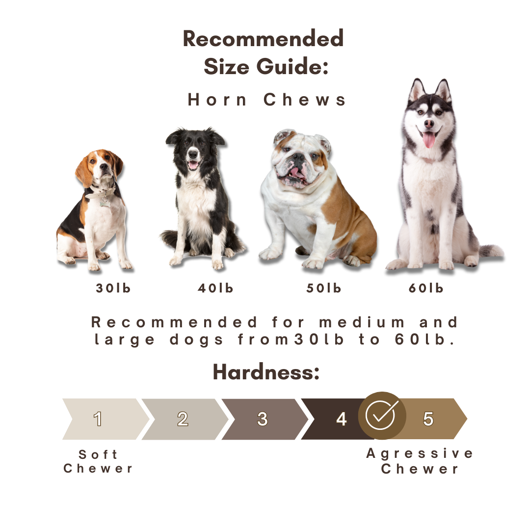 1 Pound Pack Bulk | Premium Deer Antler Chews